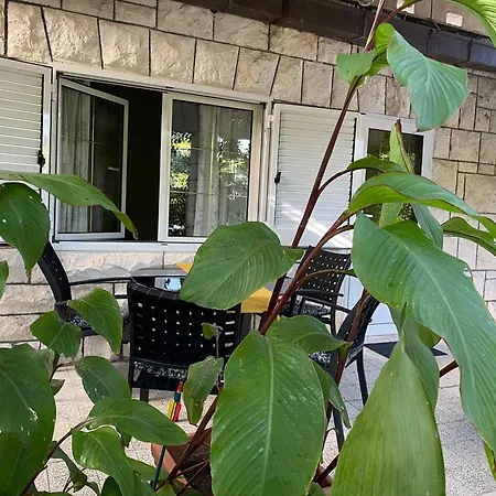 Apartment Terrace *