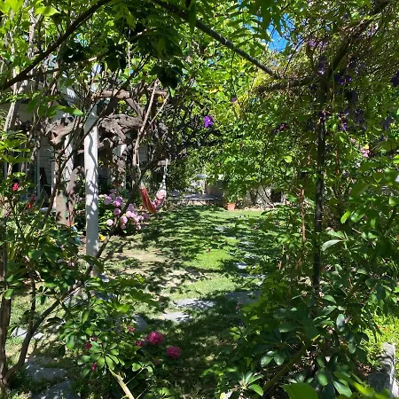 Terrace Daire Hvar Town