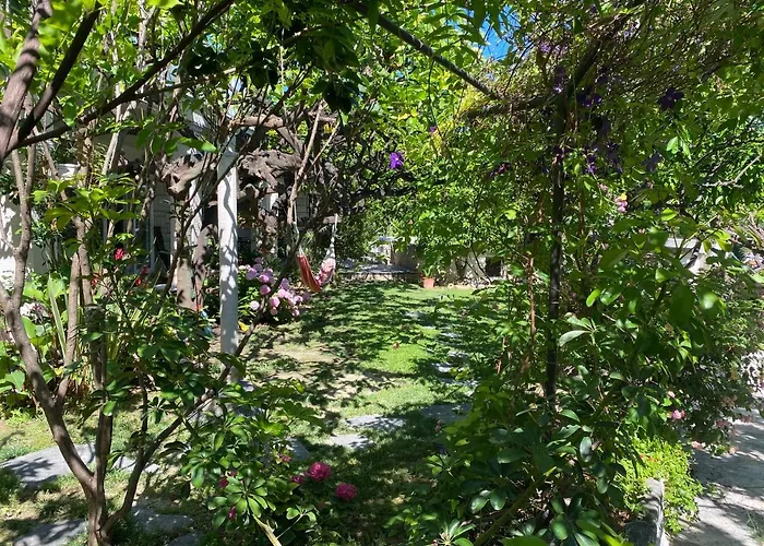 Terrace Апартаменти Хвар