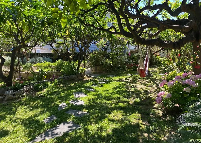 Apartman Terrace Hvar Town