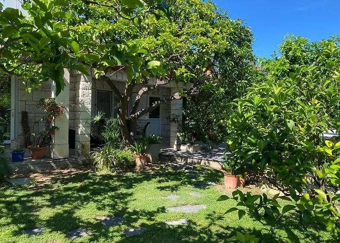 Terrace Apartman Hvar Town