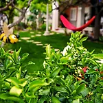 Terrace *