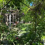 Terrace Apartman Hvar Town