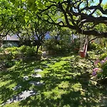 Apartman Terrace Hvar Town