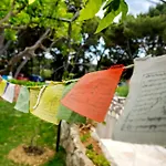 Apartman Terrace