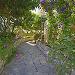 Apartman Terrace