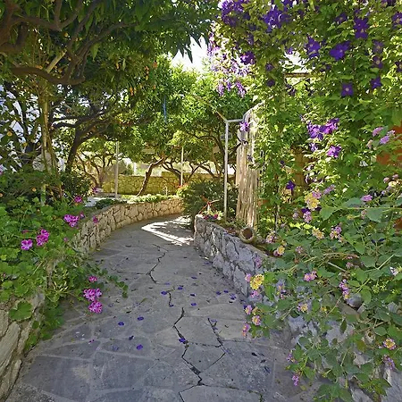 Lejlighed Terrace
